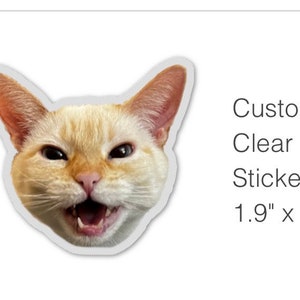 lîl mîsš screm Klart Vinyl Siamese Cat Sticker