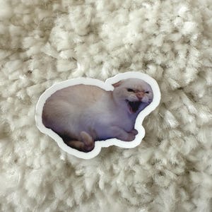 Può includere: Un adesivo raffigurante un gatto di colore chiaro con la bocca spalancata mentre urla. Il gatto è sdraiato con le orecchie all'indietro. L'adesivo ha un bordo bianco e si trova su una superficie bianca e soffice.