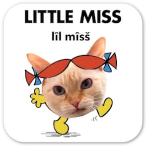 Può includere: Un quadrato bianco con il testo "LITTLE MISS" e "lil miss" in nero. Un personaggio dei cartoni animati con un corpo giallo e gambe blu sta camminando. La testa del personaggio è un gatto con occhiali da sole arancioni e rossi.