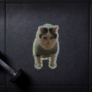 Puede incluir: Un gato blanco y negro con una camisa gris, sobre un fondo brillante. El gato está mirando directamente a la cámara.