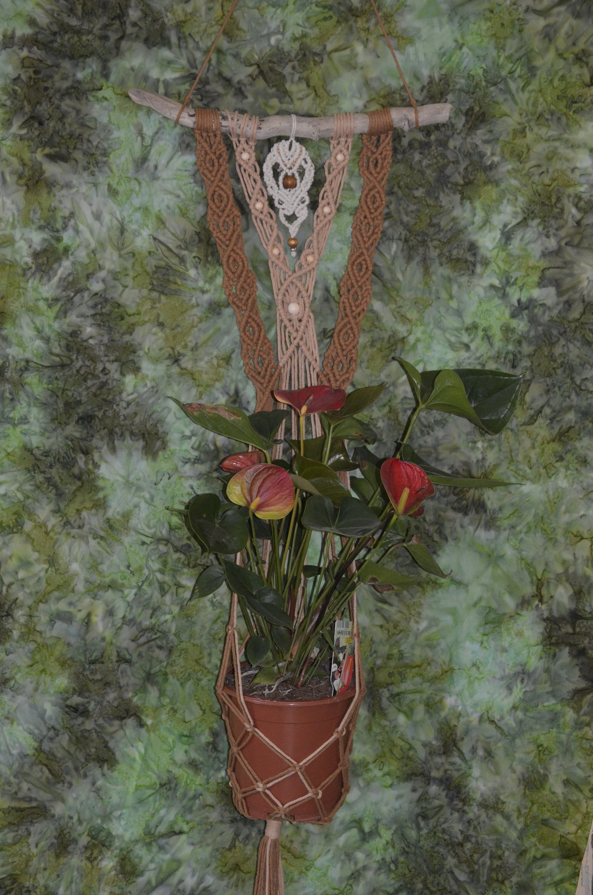 Suspension Plante Différents Bruns, Blanc avec Perles