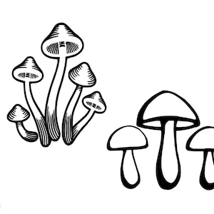 Mystical Mushrooms, Vinyl Decal, Magic, Mushrooms sticker, Funky Mushrooms, Car Sticker, Mushroom Caps, Window, Truck, Organic, woods, fairy