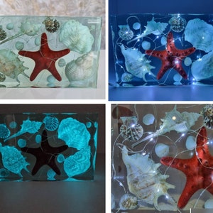 Glow in the Dark Ocean Nightlight Resin Lamp, Real Marine Life, Home Decor or Gift idea