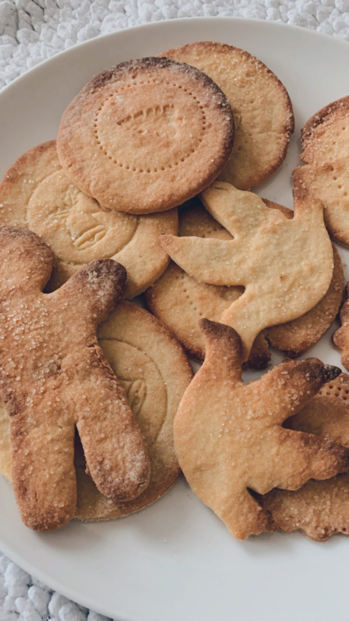 Assortiments Biscuit de Noël X10