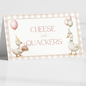 Silly Goose 1st Birthday Buffet Labels Goose 1st Birthday Place Cards First Birthday Food Labels One Lucky Duck Birthday Goose Baby Shower