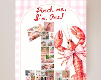 Pinch Me I'm One Birthday Sign Editable Photo Collage Broil 1st Birthday Stats Sign Nautical Low Country Crawfish Boil Summer First Bday