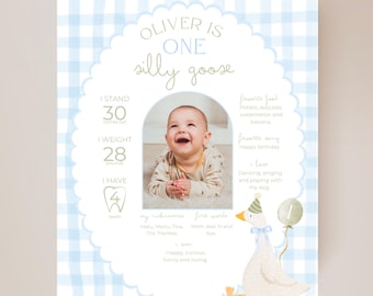One Silly Goose Birthday Milestone Sign Editable Silly Goose Party Stats Sign 1st Birthday Photo Banner Milestone photo sign