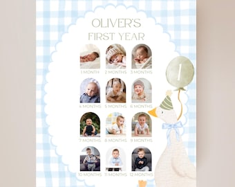 One Silly Goose Birthday Sign Photo Collage Editable Silly Goose Party Monthly Banner 1st Birthday Photo Banner Milestone photo sign