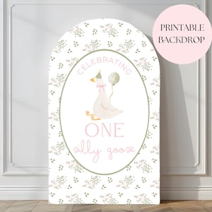 One Silly Goose Birthday Arch Background Goose First Birthday Party Decor Balloon Arch Backdrop One Silly Goose 1st Birthday Photo Backdrop
