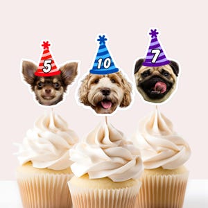 Hund Geburtstag Cupcake Topper Benutzerdefinierte Gesicht Cupcake Topper Haustier Gesicht Geburtstag Dekoration Hund 1st Geburtstag Lets Pawty Mutter puppers Puppy Party