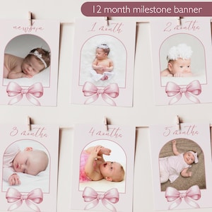 Roze strik eerste verjaardag fotobanner meisje 1e jaar mijlpaal vlaggenlijn lint maandelijkse fotoweergave 12 maanden slinger bewerkbare sjabloon