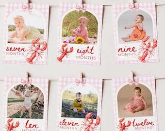Pinch Me I'm One Girl Birthday Monthly Photo Banner Lobster Broil 1st Birthday Nautical Low Country Crawfish Boil Summer First Bday Bunting