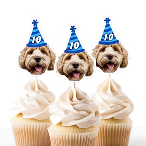 Vamos Pawty Mãe filhotes Cachorro Aniversário Cupcake Toppers Personalizado Rosto Cupcake Topper Pet Face Aniversário Decorações Cachorro 1º Aniversário Festa Filhote