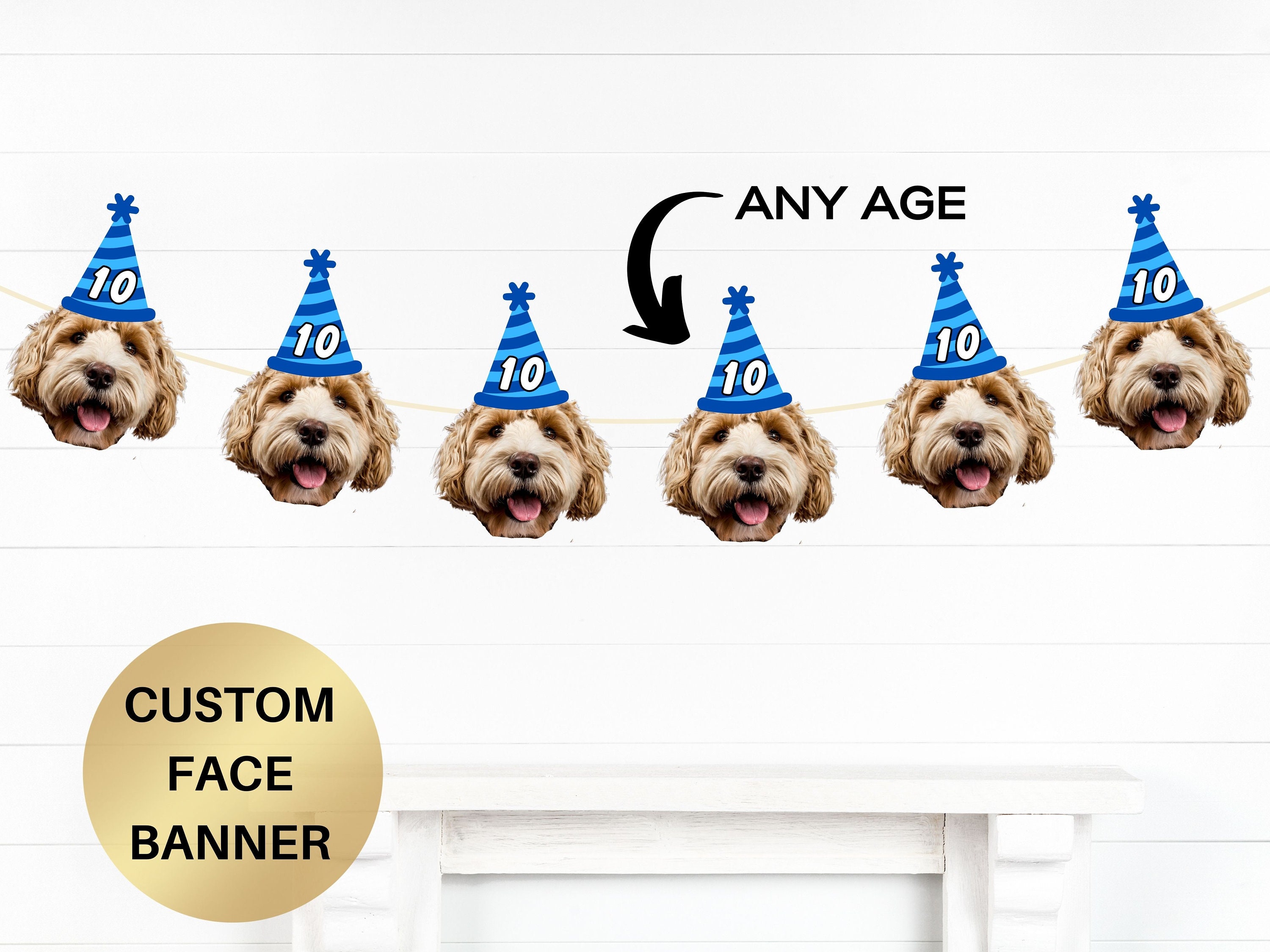 Dog Balloon Arch, Colour of Your Choice, Dog's Birthday, Dog Birthday  Decorations, Dog Party, First Birthday, New Puppy, Instagram 