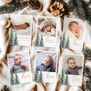 Bannière photo mensuelle d'hiver d'Onederland Cartes d'étapes modifiables Décoration de premier anniversaire Décoration d'anniversaire d'hiver au pays des merveilles d'hiver 1er anniversaire
