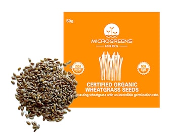 Catgrass Seeds Refill Pack – For Big Planter. Enough to grow 3 full trays!