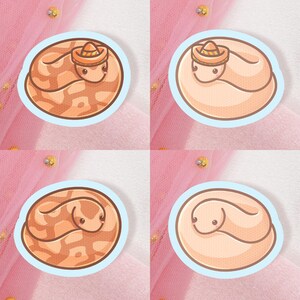 Peut inclure: Quatre autocollants représentant un serpent de dessin animé portant un sombrero. Le serpent est enroulé en cercle et a une palette de couleurs brun clair et orange. Les autocollants sont sur un fond rose.