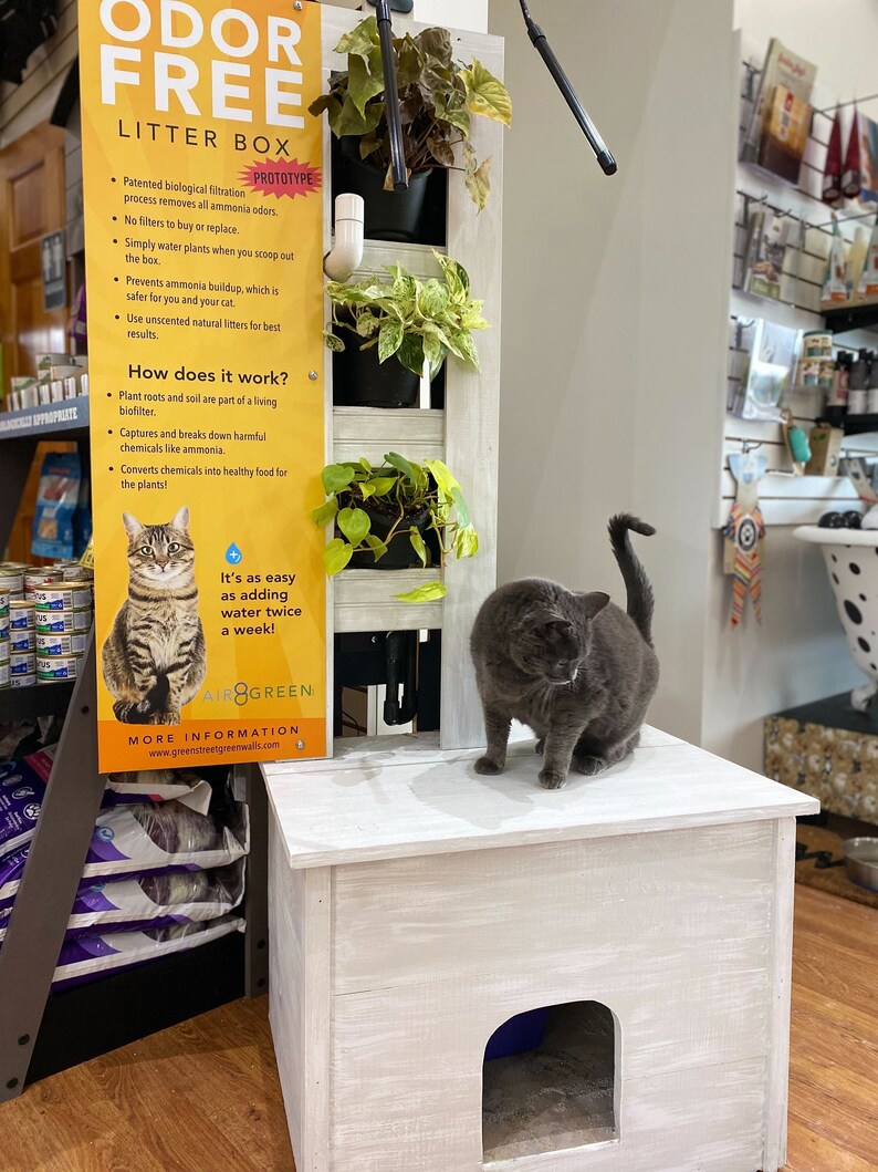 Odor Free Litter Box Enclosure Etsy