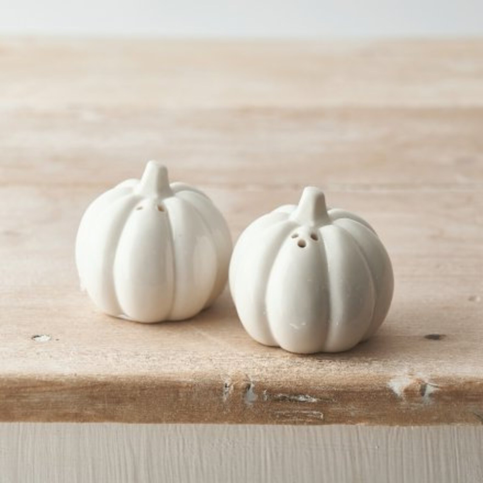 Salt & Pepper Shaker Cruet Set Pumpkin Decor White Ceramic Etsy