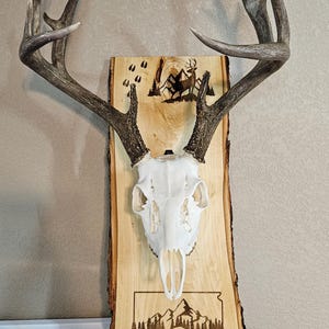 Custom Laser Engraved Pine Wood Plaque for European Skull Mounts