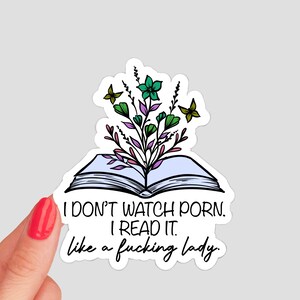 Read it Like a Lady Sticker / spicy reads book sticker smut