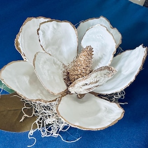 Oyster Shell Magnolia