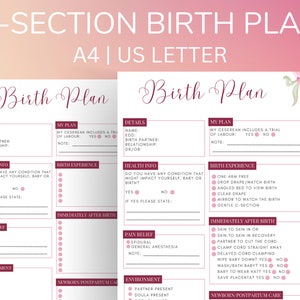 Cesarean Birth Plan Template Csection Birth Plan Printable Birth Preferences