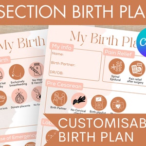 C Section Birth Plan Visual Birth Plan Template Cesarean Birth ...