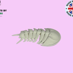 Modelo de trilobite flexible y juguete antiestrés