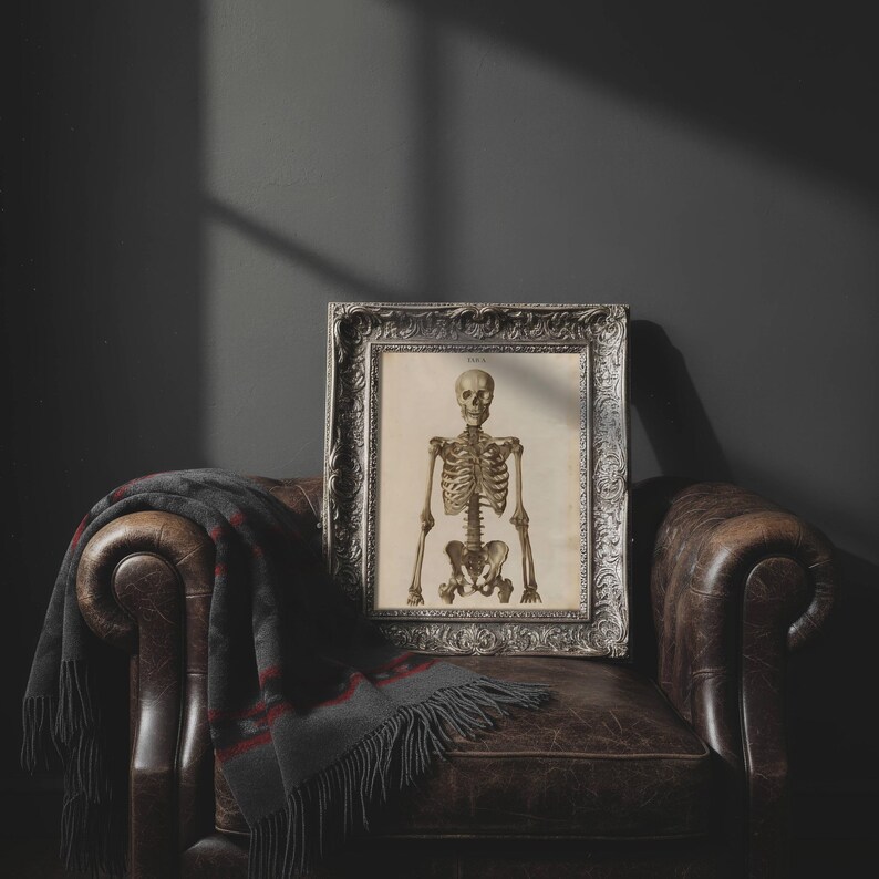 Vintage Skeleton Anatomy Poster – Antique Medical Illustration (digital ...
