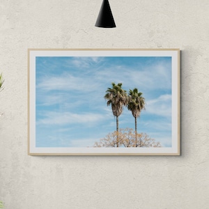 Fine Art Palm Trees Photography, Spain Wall Art, Fine Art Coastal Palm Trees, Palm Tree Print, House Decor Modern Photography Prints