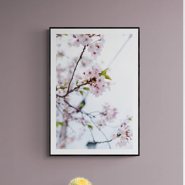 Cherry Blossom Print, Cherry Blossom Art, Wall Decor, Nature Photography, Gift for Her, Japanese Photography, Sakura Print