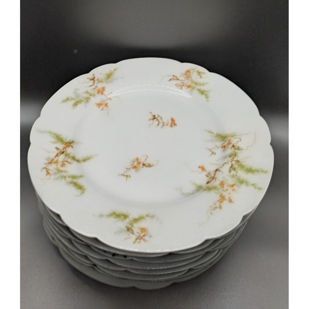   Langelinie 皿 Set/8 Antique Haviland Limoges France Schleiger 41 Dinner Plates 9