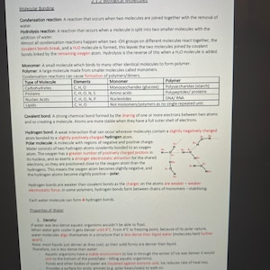 A-level Biology ocr a revision notes YEAR 1
