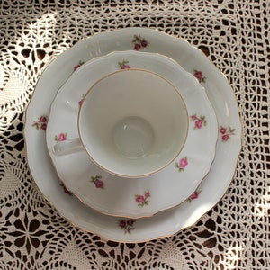 Vintage Mitterteich Bavaria Porcelain Trio: Cup, Saucer & Plate. White with Rose Design