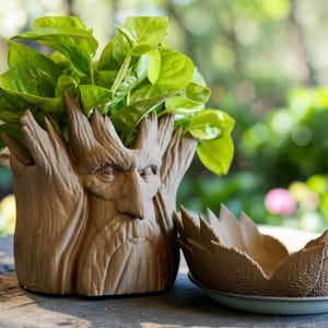 The Forest Guardian, Fantasy Tree Plant Pot with Overflow Tears,Indoor Plant Pot, Unique Home Decor , Gift for Plant Lovers