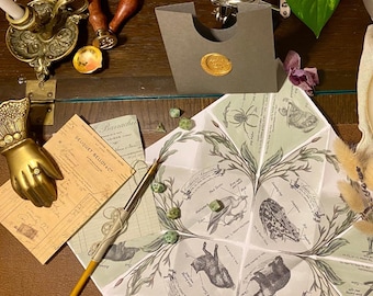 Puede incluir: Un tablero de juego de papel doblado con ilustraciones de animales y plantas. El tablero está rodeado de dados verdes y un bolígrafo. El tablero está sobre una superficie de madera con otros objetos, incluyendo un candelero de latón, un sello de cera y una pequeña libreta.