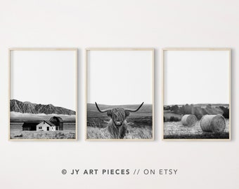 May include: A set of three black and white landscape photographs featuring a farmhouse, a highland cow, and hay bales in a field.