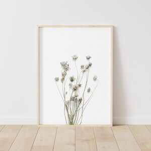 Dry Floral Prints, Botanical Wall Art, Farmhouse Wall Art, Flower Printable, Farmhouse Decor, Minimalist, Neutral Wall Art, Instant Download