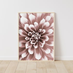 Printable Dahlia Wall Art, Close-Up Flower Print, Botanical Floral Photo, Bedroom Decor, Digital Download