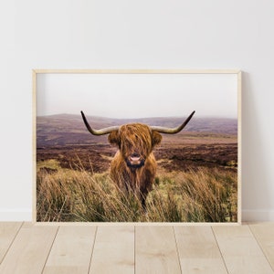 Highland Cow Prints, Highland Cow Wall Art, Farmhouse Wall Art, Farmhouse Prints, Nature Print, Animal Wall Art, Instant Download