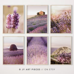 Lavender Wall Art, Provence Botanical Print, Lavender Field Farmhouse Decor, French Country Printable, Set of 6, Instant Download
