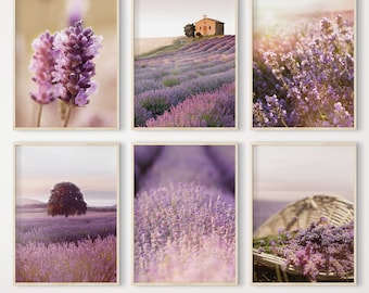 Puede incluir: Un conjunto de seis impresiones enmarcadas que muestran un campo de lavanda en la Provenza, Francia. Las impresiones muestran primeros planos de las flores de lavanda, una pequeña capilla en la distancia y una cesta de mimbre llena de lavanda.