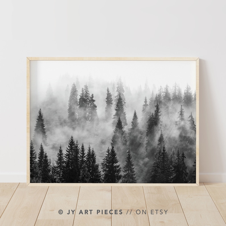 May include: Black and white photograph of a misty forest with tall pine trees. The fog is thick and obscures the details of the trees in the distance.