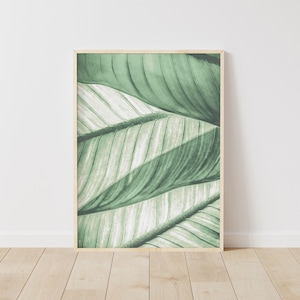 Green Leaf Prints, Leaf Wall Art, Botanical Prints, Green Plant Prints, Summer Wall Art, Home Decor Leaf Art, Minimalist, Instant Download