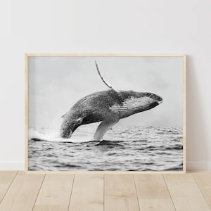 Láminas de ballenas, arte mural de ballenas, láminas oceánicas, arte costero, láminas de verano, láminas de animales marinos, decoración de pared para el hogar, ballena, descarga instantánea