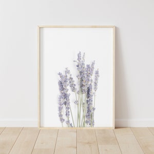 Lavender Prints, Modern Farmhouse Wall Art, Minimalist Home Decor, Lavender Printable, Dry Floral Wall Art, Botanical, Instant Download