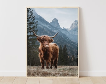 Stampa di mucca delle Highlands, arte rustica di paesaggio montano (download digitale)