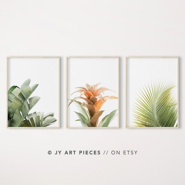 Set of 3 Prints, Tropical Print Set, Banana Tree Print, Palm Print Set, Bromeliad Print, Tropical Plant Wall art, Printable,Instant Download