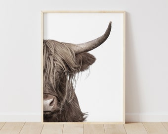 Impressão de retrato de vaca das Terras Altas: arte de parede de fazenda (download digital)